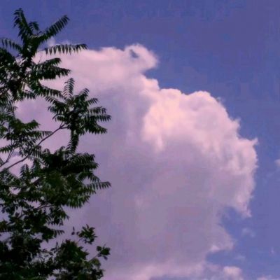 神衍灵主手游(暂未上线)v1.2 安卓版